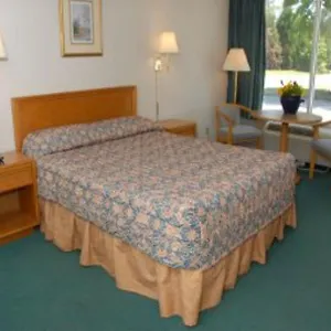 Hotel Knights Busch Gardens Area